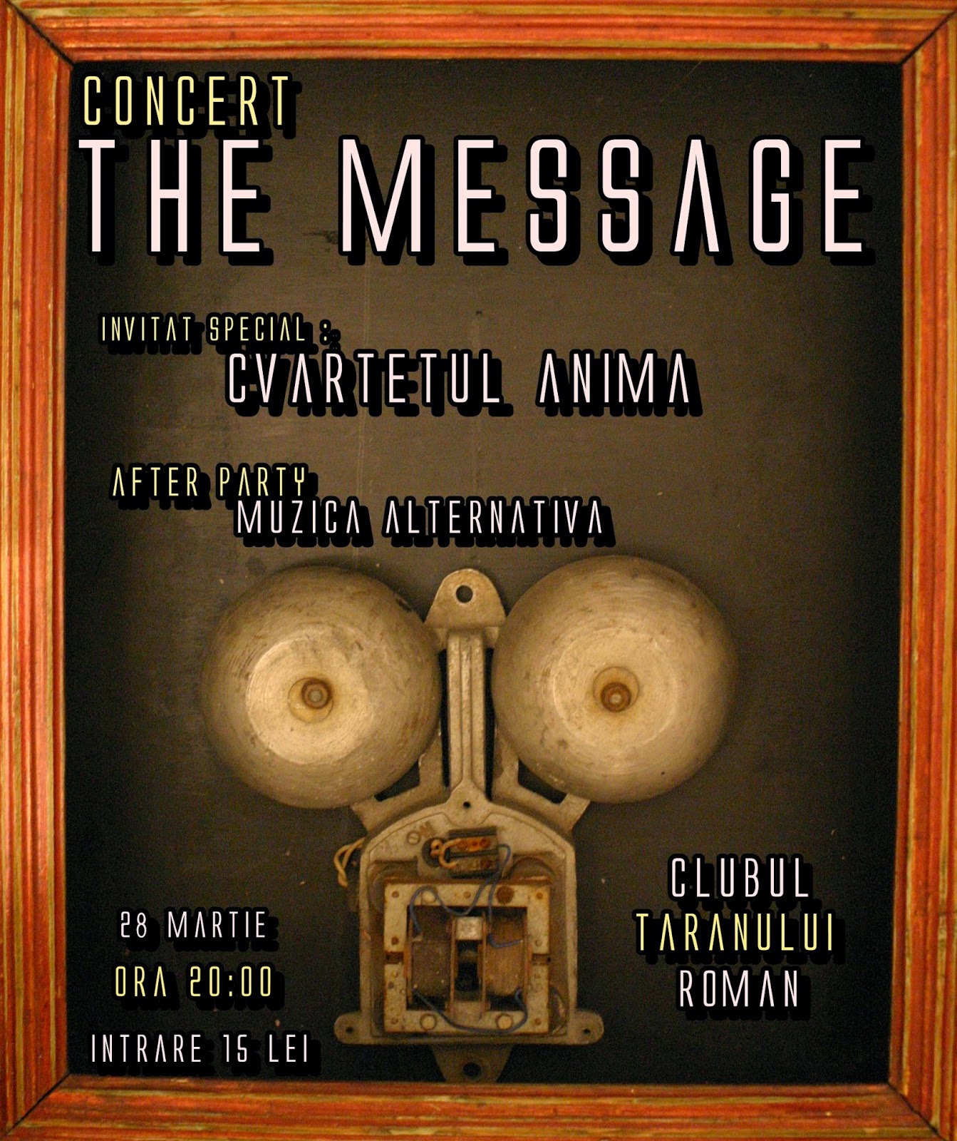 Trupa-The-Message-_Cvartet-Anima.JPG